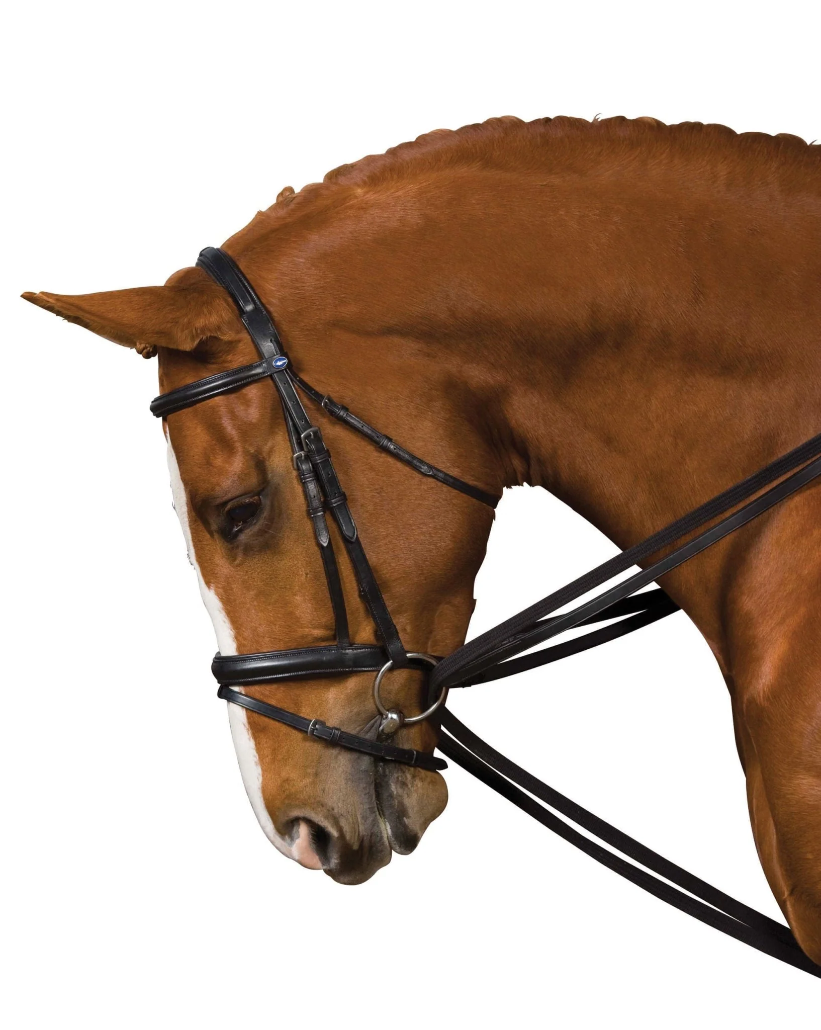 Kincade Leather Draw Reins - Buy Pet Shop