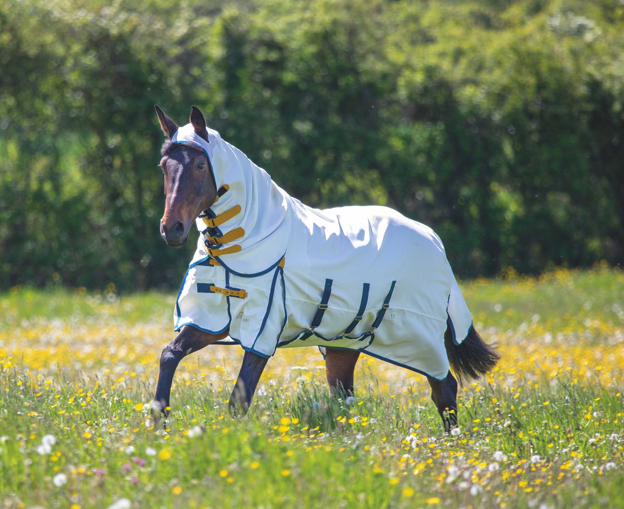 Highlander Plus Sweet-Itch Combo Sheet, White/Teal/Mustard - Buy Pet Shop