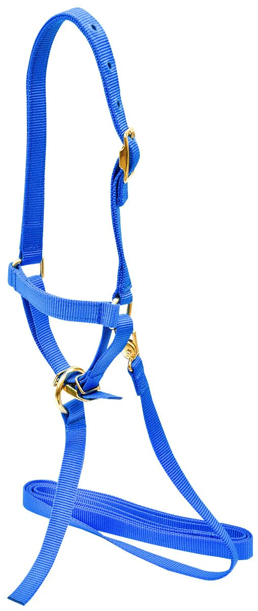 Nylon Sheep Halter & Lead Set, 3/4