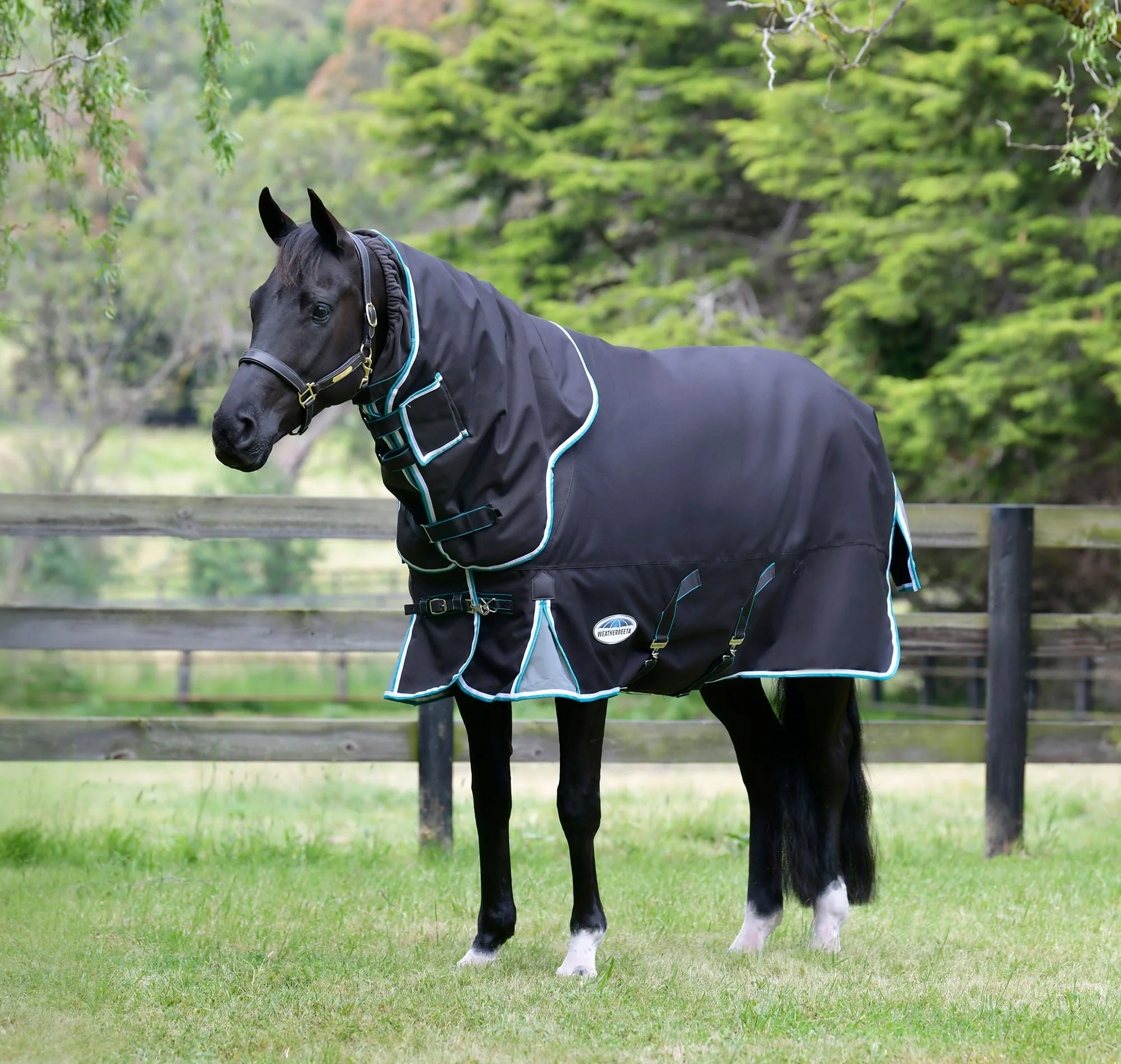 WeatherBeeta ComFITec Ultra Cozy III Detach-a-Neck Heavy Horse Blanket - Buy Pet Shop