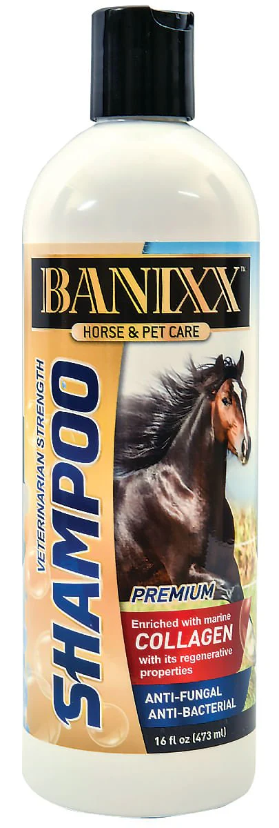 Banixx Veterinary Strength Shampoo, 16 oz - Buy Pet Shop