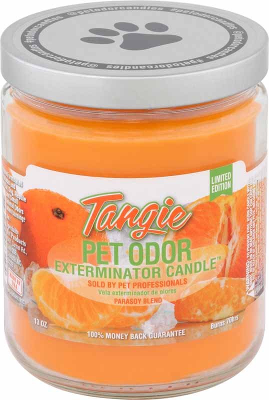 Pet Odor Exterminator Candle, Tangie, 13 oz - Buy Pet Shop