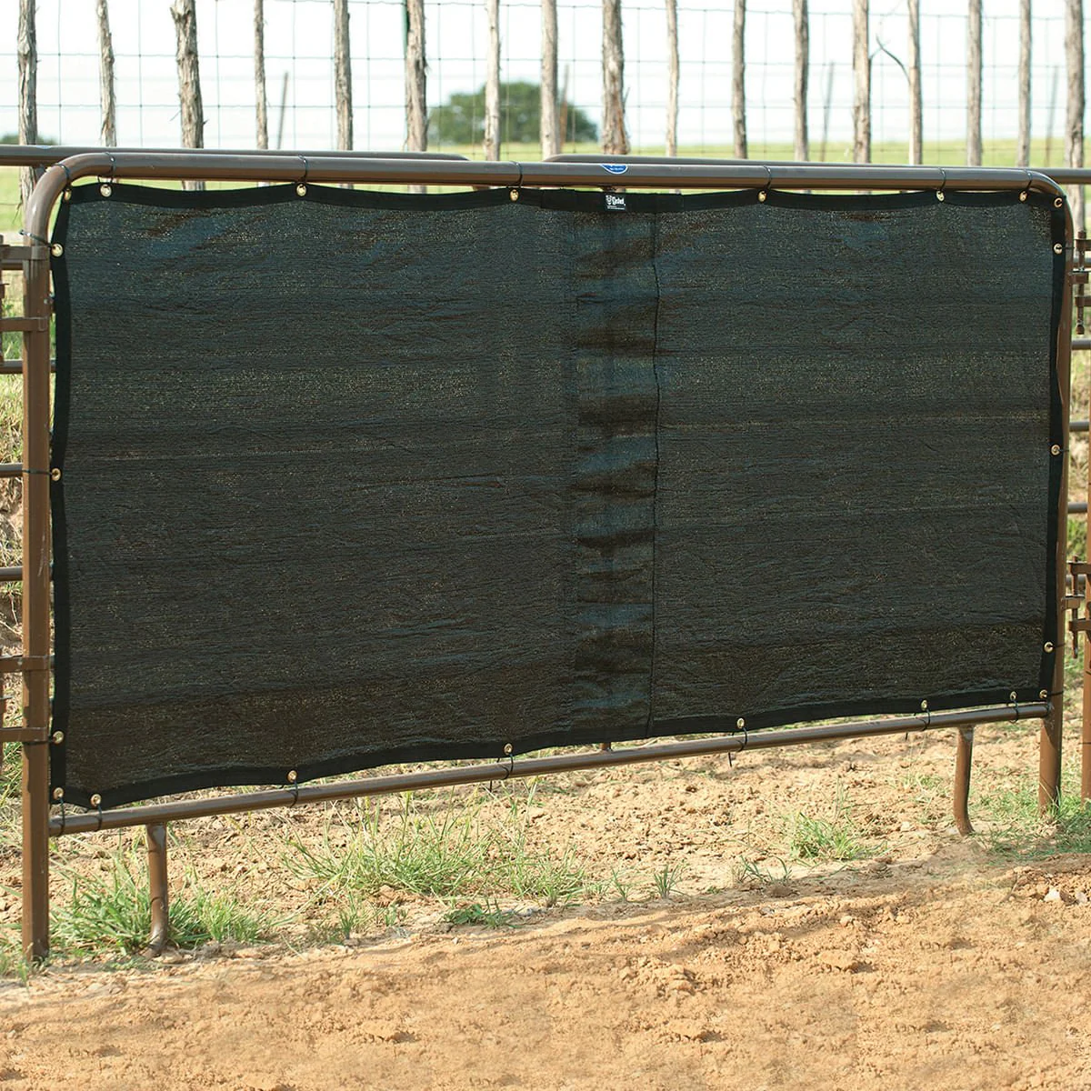 Panel Screen - Buy Pet Shop