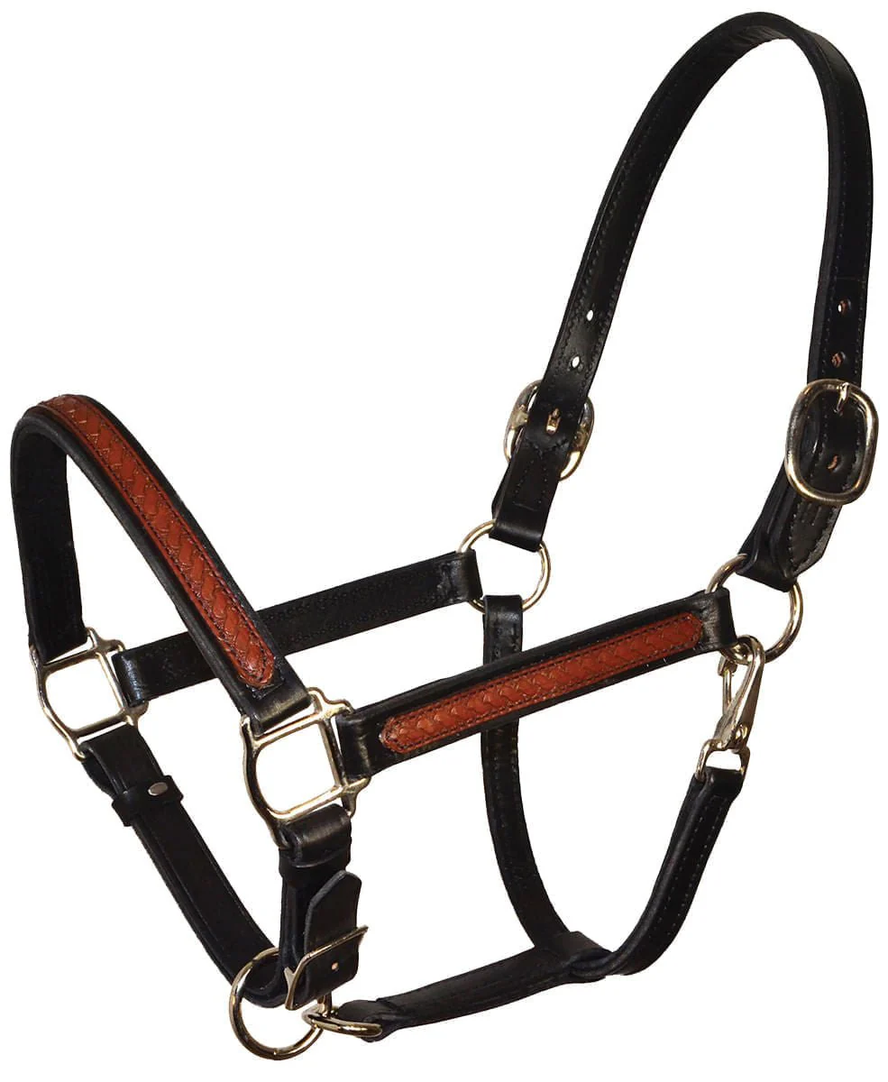 Perri's Leather Overlay Halter, Black/Brown - Buy Pet Shop