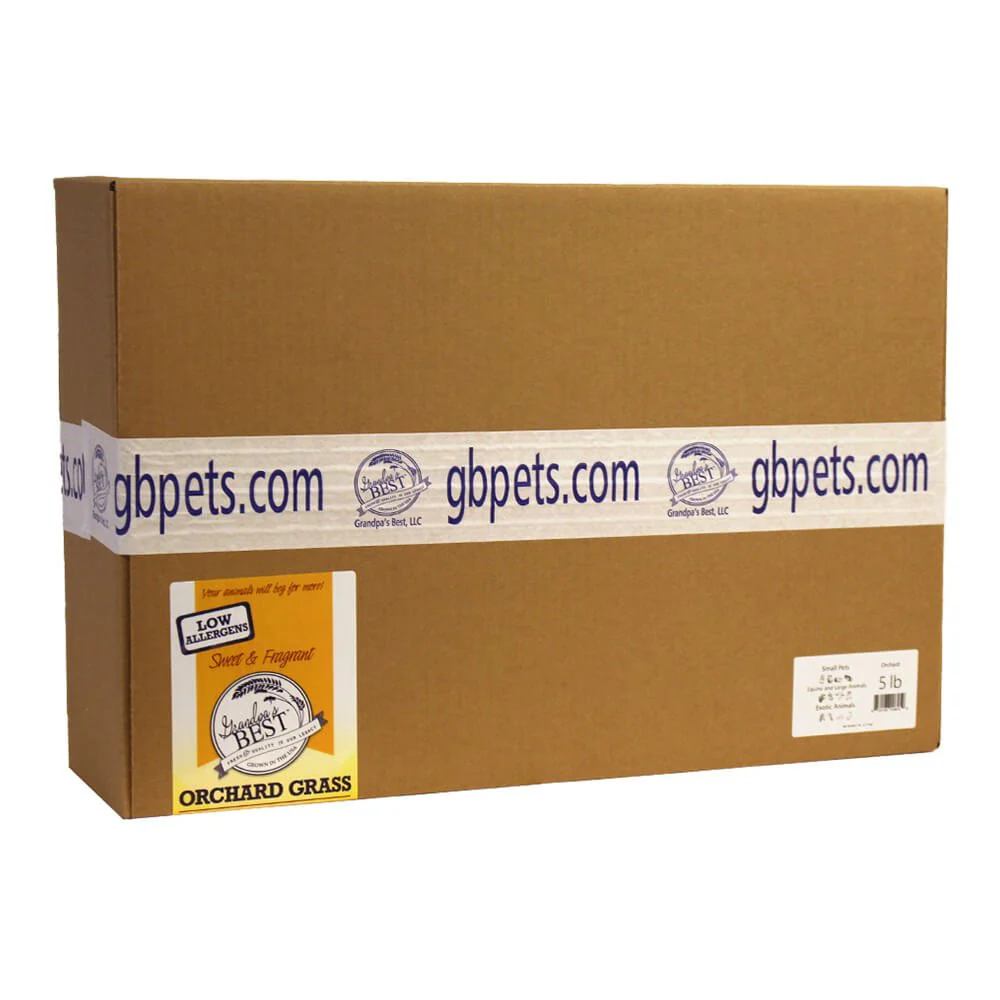 Grandpa's Best Orchard Grass Loose Boxed Hay - Buy Pet Shop