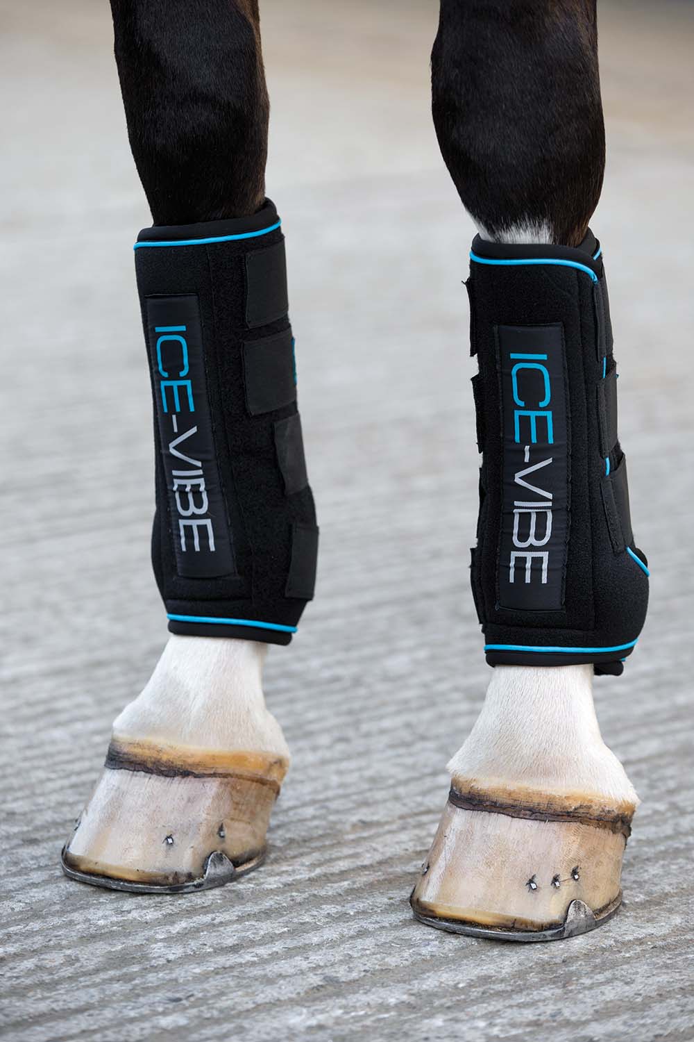 Ice Vibe Therapy Boot for Horses, 2 Pack - Buy Pet Shop