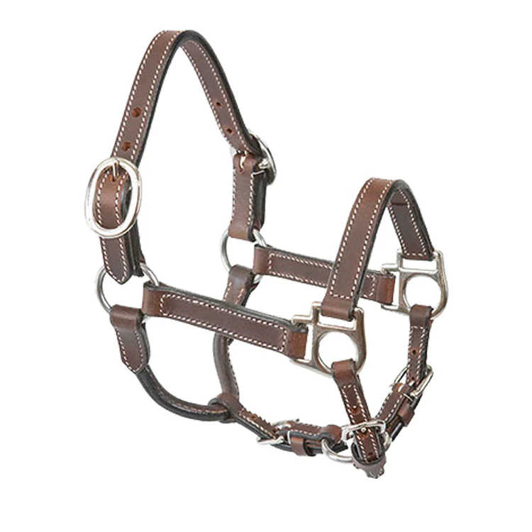 Miniature Horse Leather Halter - Buy Pet Shop