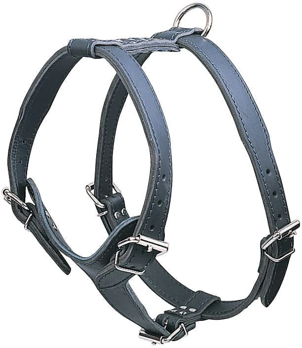 Latigo Leather Medium Harnesses, Plain - Buy Pet Shop
