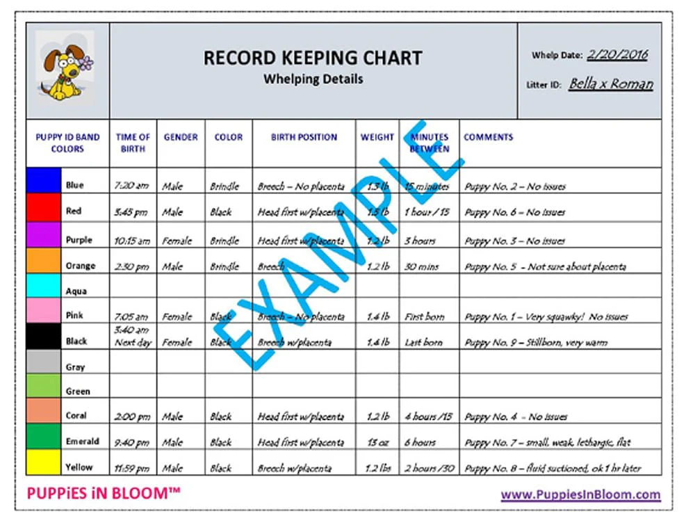Puppies in Bloom Breeder Record Keeping Charts - Buy Pet Shop
