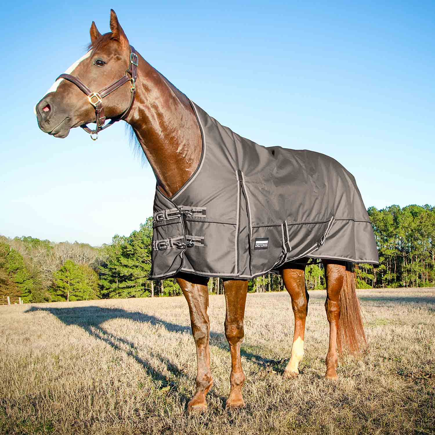 Poplar Head Defense 1680 Denier Turnout Blanket with High Neck, 240 Gram, Plymouth Brown - Buy Pet Shop