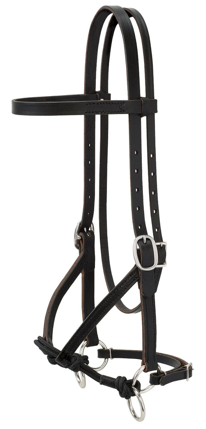 Justin Dunn Bitless Bridle - Buy Pet Shop