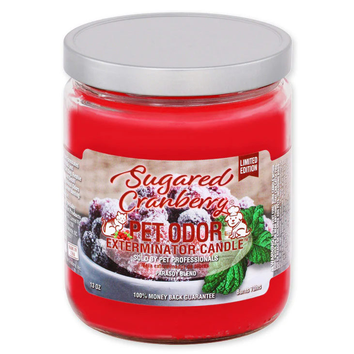 Pet Odor Exterminator Candle, Sugared Cranberry, 13 oz - Buy Pet Shop