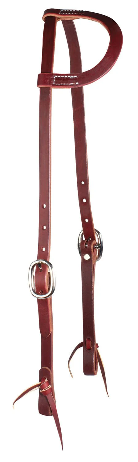 Professional's Choice Trainers One-Ear Horse Headstall, Burgundy - Buy Pet Shop