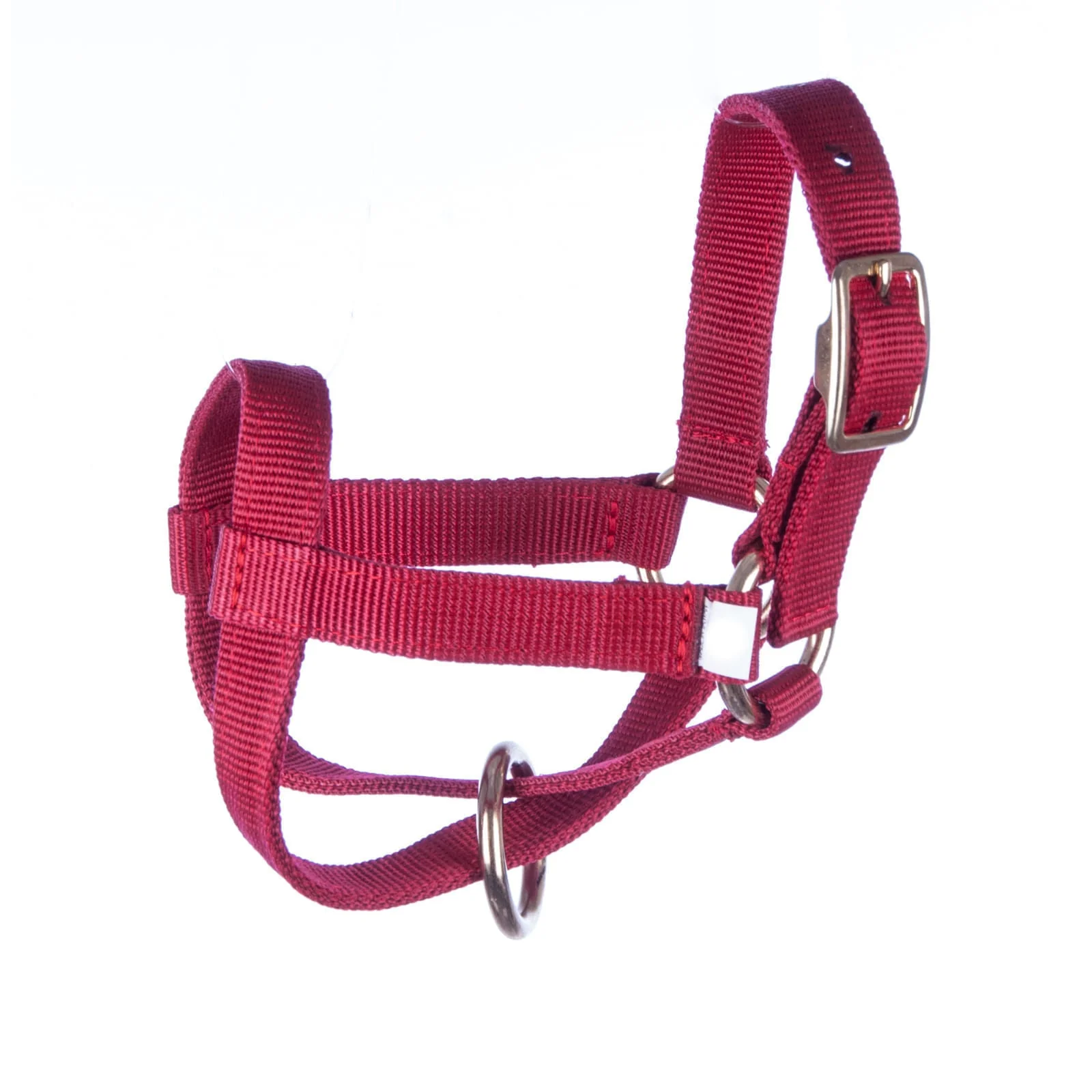 Goat Halter - Buy Pet Shop