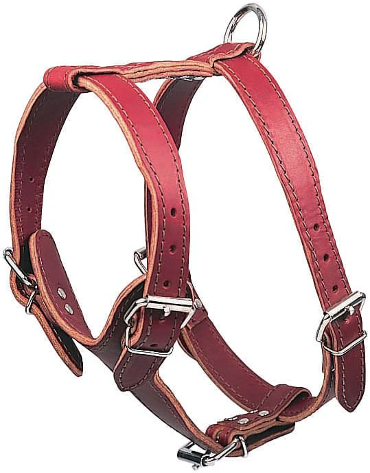 Latigo Leather Medium Harnesses, Plain - Buy Pet Shop