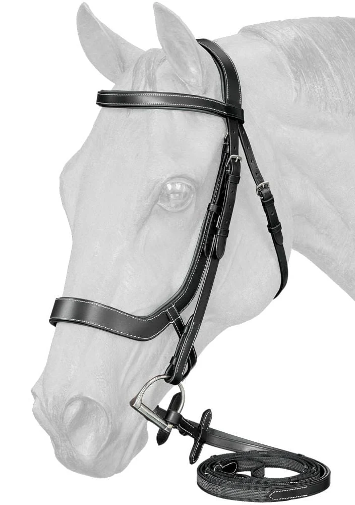 Equitare Cadence Ergonomic Bridle - Buy Pet Shop