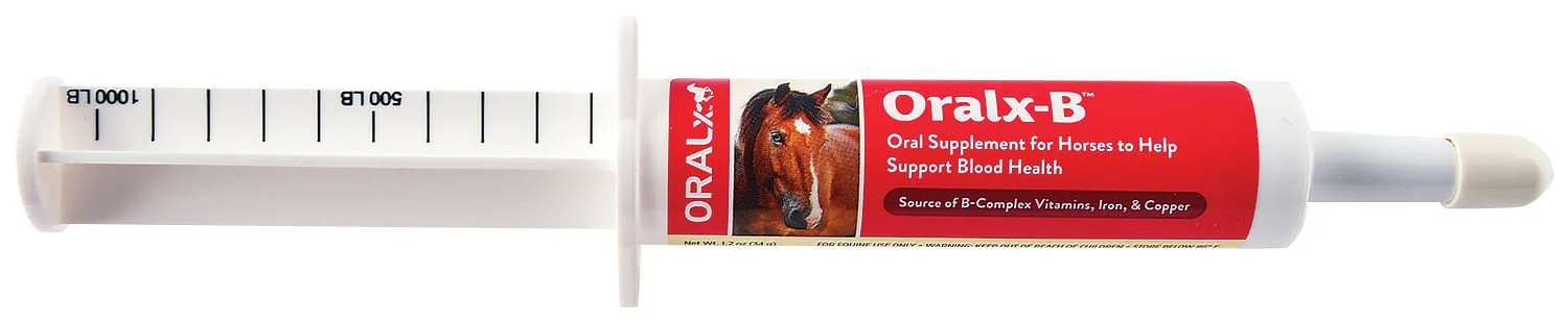 Oral X-B - Buy Pet Shop