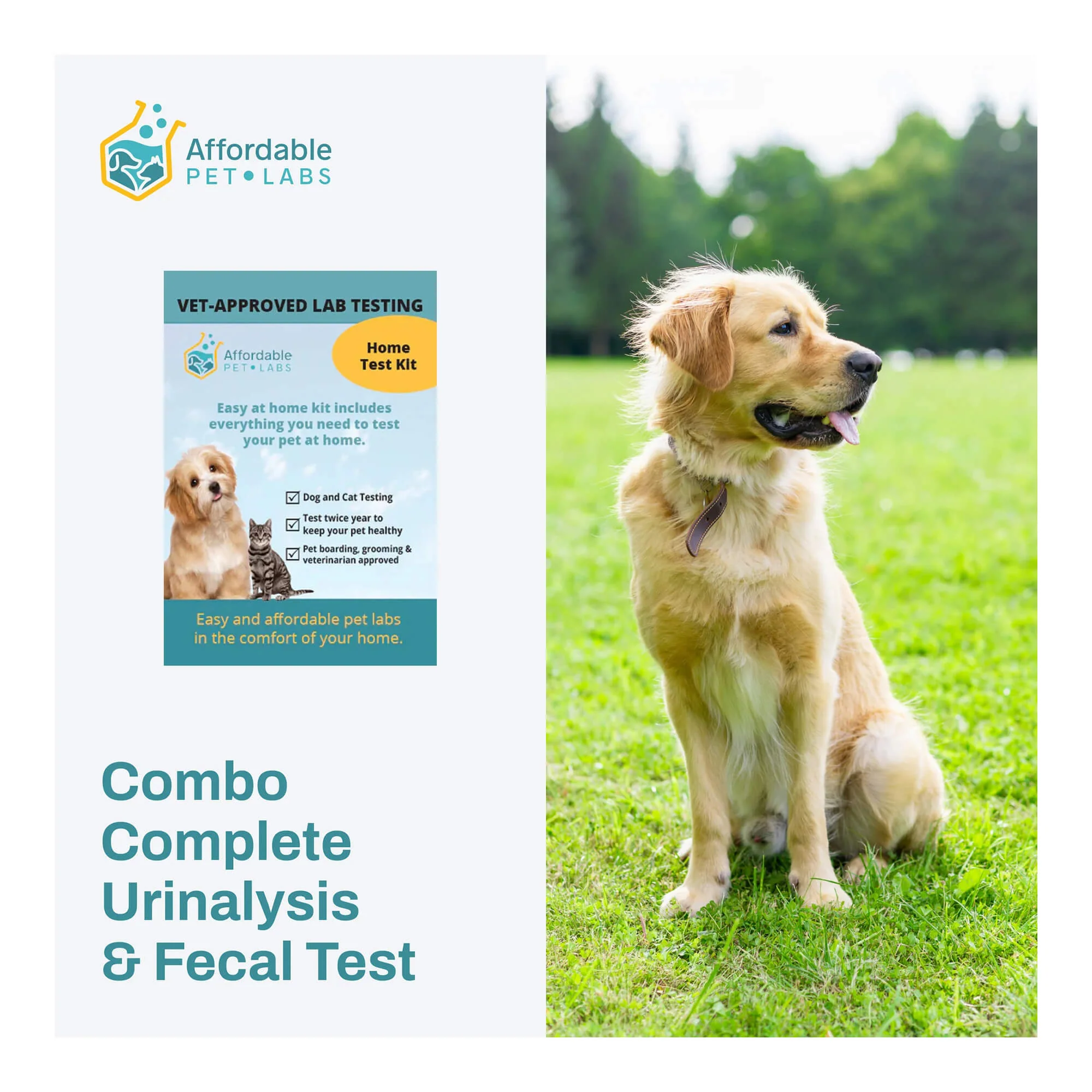 Affordable Pet Labs - Combo Complete Urinalysis & Fecal Test For Dogs, Easy Home Kit - Buy Pet Shop