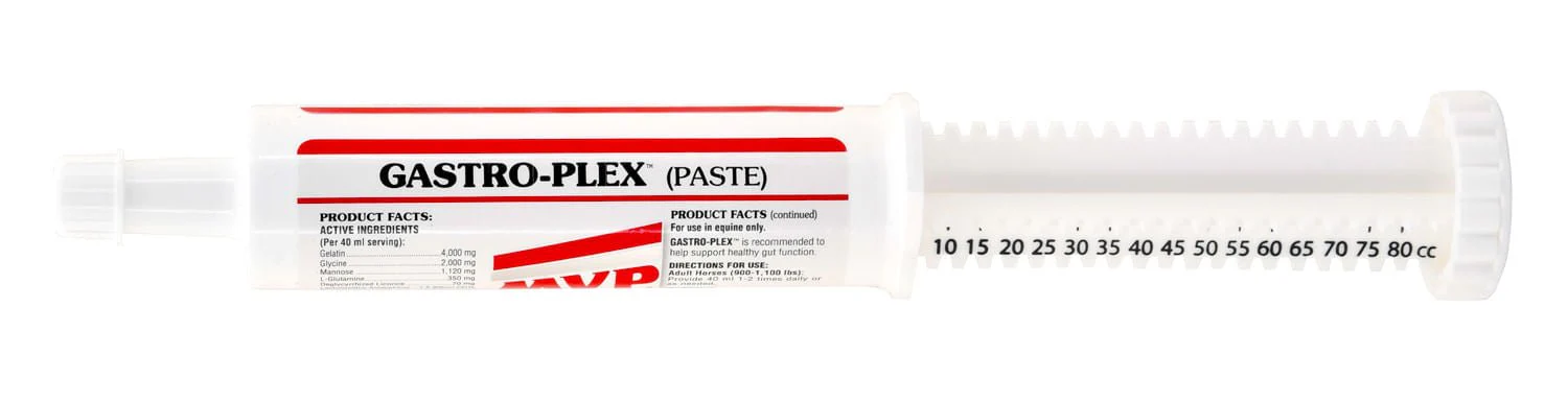 Med-Vet Gastro-Plex Paste - Buy Pet Shop