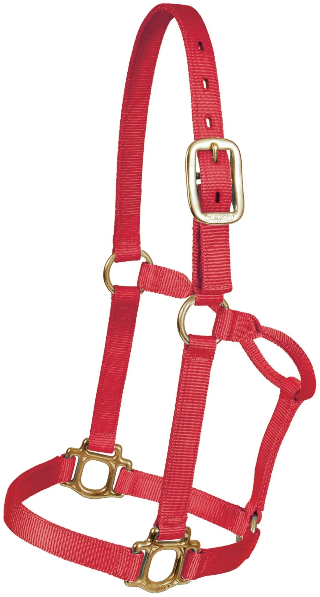 Traditional Nylon Halter, Yearling - Buy Pet Shop